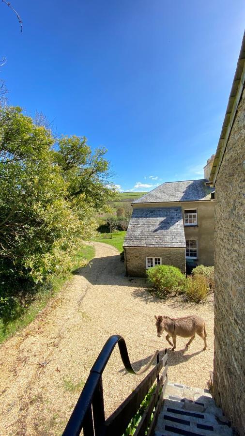Beachborough Country House Barnstaple Ngoại thất bức ảnh